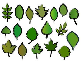 Different leafs vector