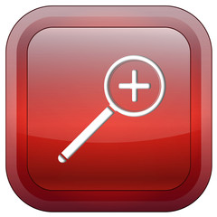 Obraz premium Magnifier button