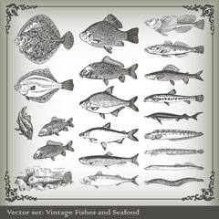 Vector set: fish