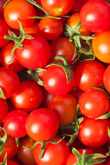 Red tomatoes 