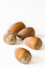 noisettes