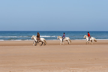 ballade de chevaux sur la plage