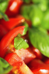 Tomate-Basilikum Makro