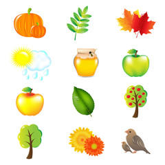 Autumn Vector Set