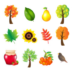 Autumn Set
