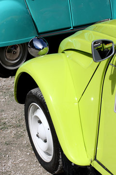 dodoche verte