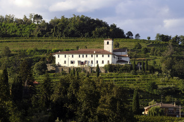 Fototapeta premium Abbazia di Rosazzo - Friuli Venezia Giulia