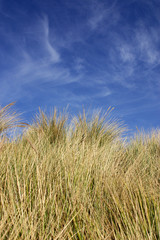 Coast of Oregon, United States