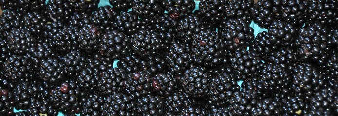 Brombeeren