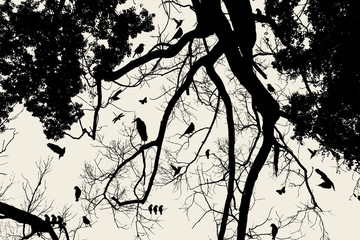arbre et oiseau
