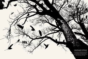 Door stickers Birds on tree tree and bird