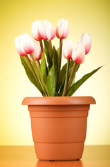 Bunch of tulip flowers on the table