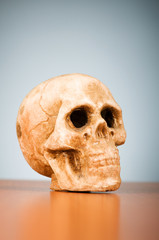Skull of human against the gradient background