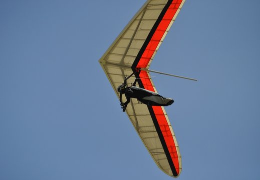 Parapentiste # 4