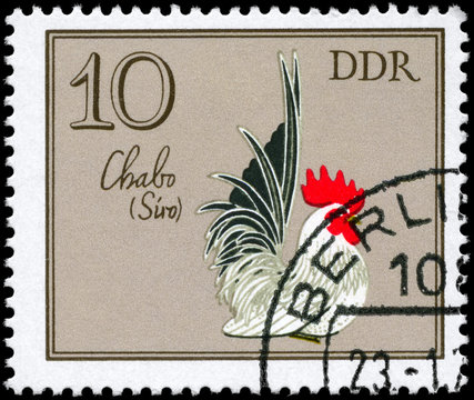 GDR - CIRCA 1979 Chabo