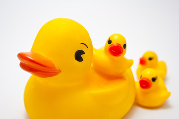 Plastic yellow duck toy