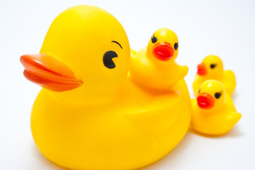 Plastic yellow duck toy