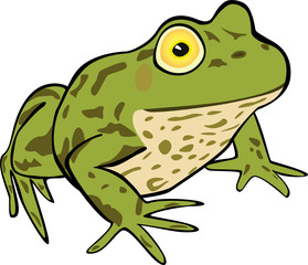 Frog
