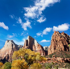 Fototapeta premium Zion