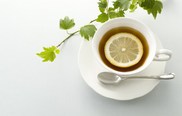 レモンティーとアイビー