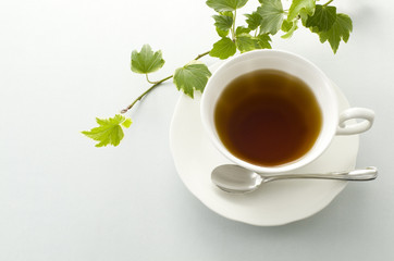 紅茶とアイビー