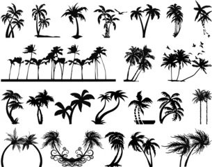 Fototapeten Palm Tree silhouettes © PrintingSociety