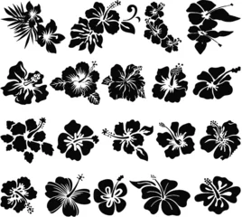 Foto op Plexiglas Hibiscus flower silhouettes © PrintingSociety