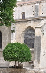 Fototapeta na wymiar Święty Kościół Trophime 8