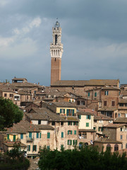 Obraz premium Siena - panorama of the old part of town with Torre del Manga