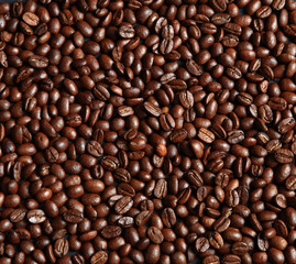 coffee beans
