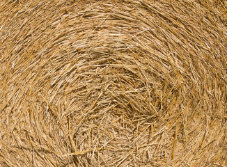 Haystack background.