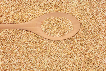 Quinoa Cereal Grains