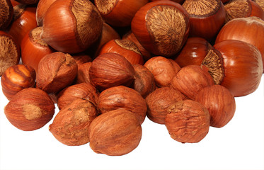 Hazelnut closeup