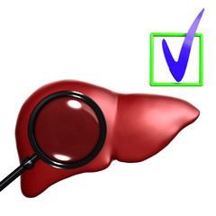 Red  Human liver with mesoscope