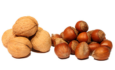 Hazelnuts and walnuts