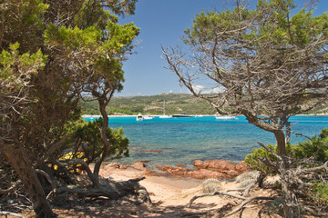 cote corse (la rondinara)