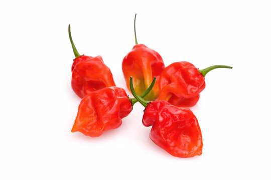 Datil Peppers