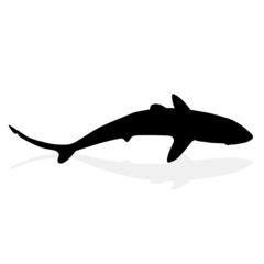 shark one black with shadow vector silhouettes
