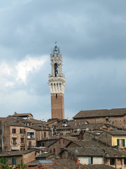 Fototapeta premium Siena - panorama of the old part of town withTorre del Manga