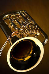 Tuba Euphonium Isolated on Gold