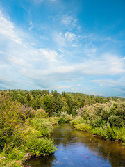 Summer landscape with Siberian nature