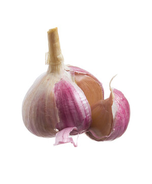 garlic