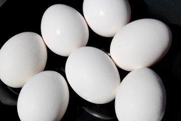 White Eggs