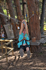tree climbing