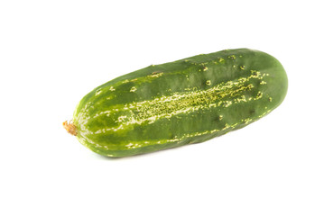 Cucumber