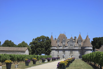 Fototapeta premium Château de Monbazillac