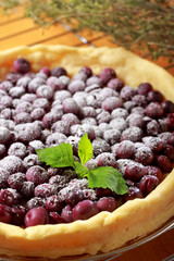 Blueberry tart