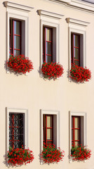 Six flowery windows