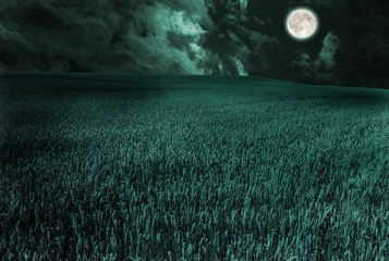 moon © studioDG
