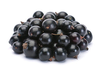 Black currant berry